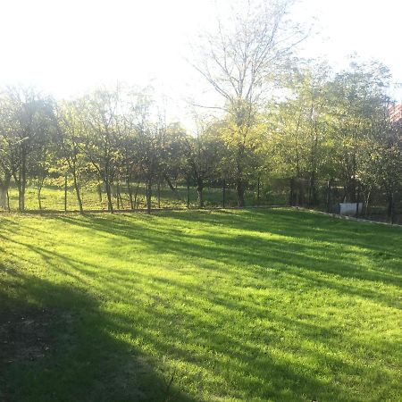 Green Nest Banesti Luaran gambar